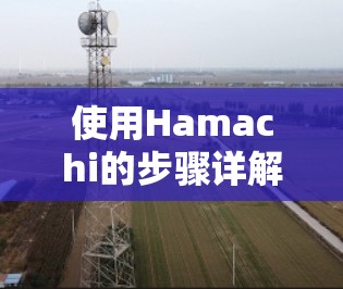 使用Hamachi的步骤详解