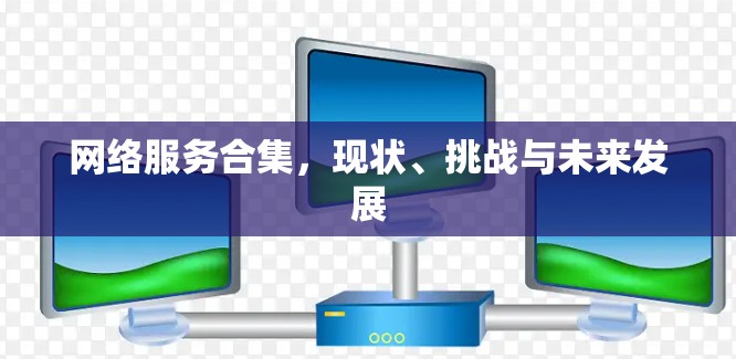 网络服务合集，现状、挑战与未来发展