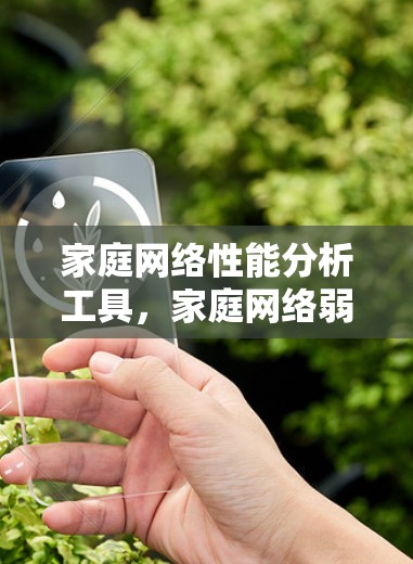 家庭网络性能分析工具,家庭网络弱势测试与优化 家庭网络性能分析工具,家庭网络弱势测试与优化