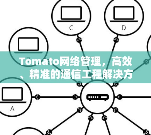 Tomato网络管理，高效、精准的通信工程解决方案