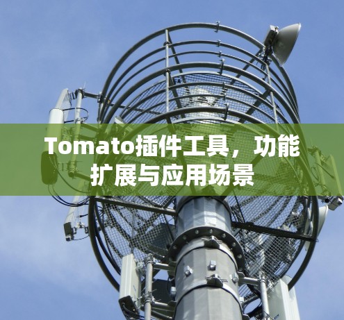 Tomato插件工具，功能扩展与应用场景
