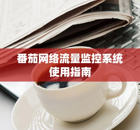 番茄网络流量监控系统使用指南 番茄网络流量监控系统使用指南