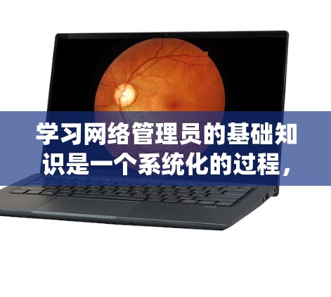 学习网络管理员的基础知识是一个系统化的过程，需要从基础开始，逐步深入理解网络的各个组成部分和相关技术。以下是一个结构化的学习计划，帮助你有效掌握所需技能