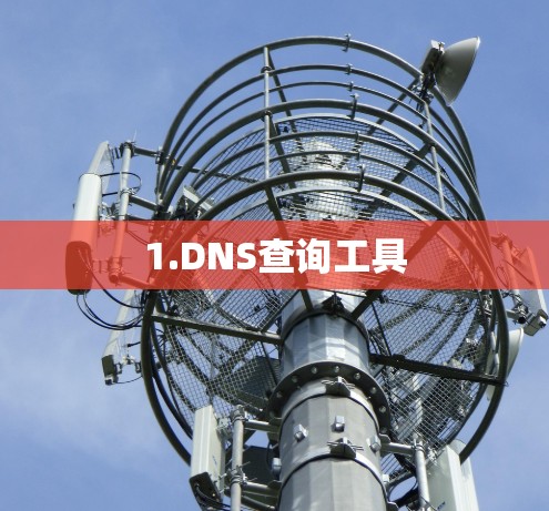 1.DNS查询工具 1.DNS查询工具