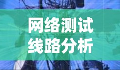 网络测试线路分析是一个系统性的过程，旨在确保网络的性能、稳定性和安全性。以下是对网络测试线路的详细分析和总结