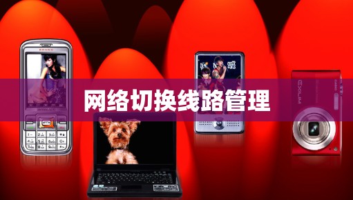 网络切换线路管理 网络切换线路管理
