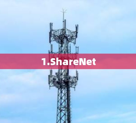 1.ShareNet 1.ShareNet