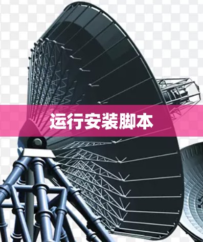 运行安装脚本