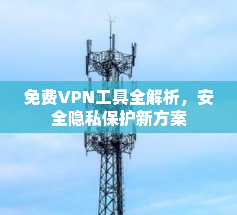 免费VPN工具全解析,安全隐私保护新方案 免费VPN工具全解析,安全隐私保护新方案