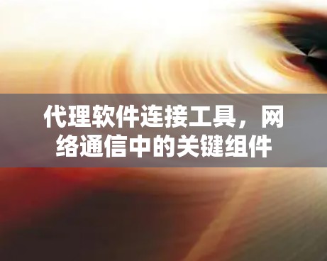 代理软件连接工具,网络通信中的关键组件 代理软件连接工具,网络通信中的关键组件