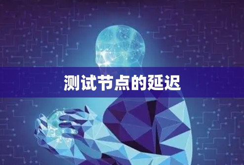 测试节点的延迟 测试节点的延迟