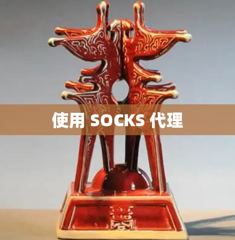 使用 SOCKS 代理 使用 SOCKS 代理