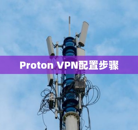 Proton VPN配置步骤
