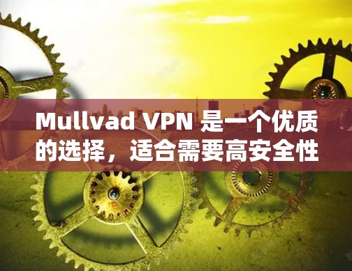Mullvad VPN 是一个优质的选择，适合需要高安全性和隐私保护的用户。以下是对其的详细分析和建议
