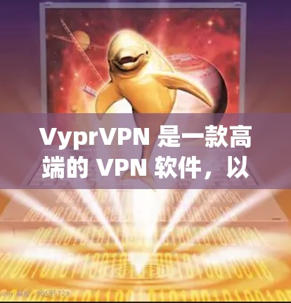 VyprVPN 是一款高端的 VPN 软件,以下是其主要特点和推荐理由
