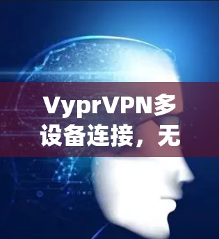 VyprVPN多设备连接，无缝办公，畅通网络