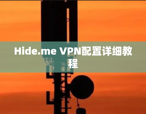 Hide.me VPN配置详细教程