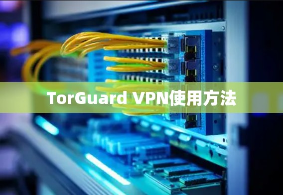 TorGuard VPN使用方法