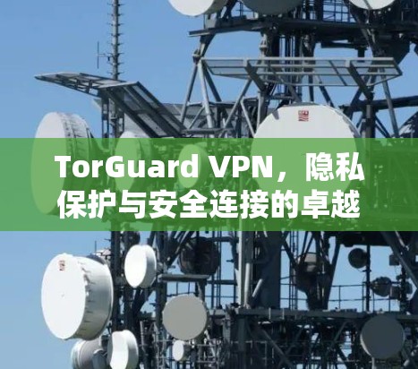 TorGuard VPN，隐私保护与安全连接的卓越方案