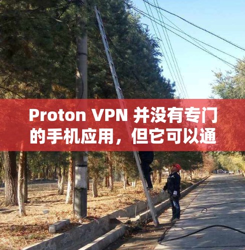 Proton VPN 并没有专门的手机应用,但它可以通过浏览器或其他方式在手机上使用。以下是一些相关信息和替代方案