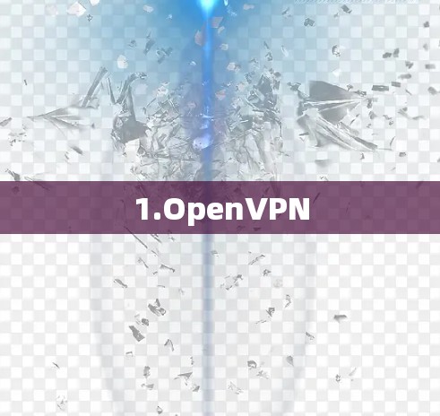 1.OpenVPN 1.OpenVPN