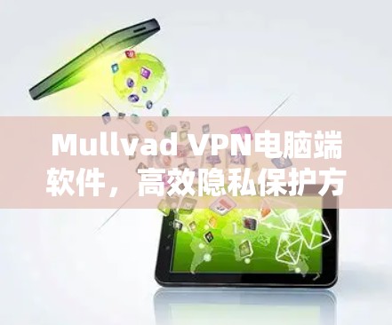 Mullvad VPN电脑端软件,高效隐私保护方案评测