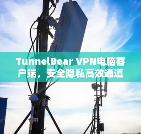 TunnelBear VPN电脑客户端,安全隐私高效通道