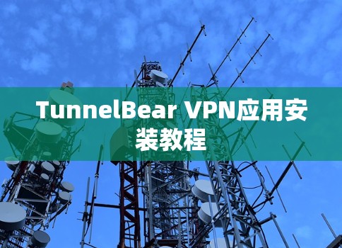 TunnelBear VPN应用安装教程