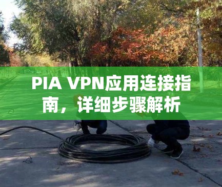 PIA VPN应用连接指南,详细步骤解析