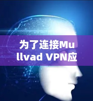 为了连接Mullvad VPN应用程序,请按照以下步骤操作