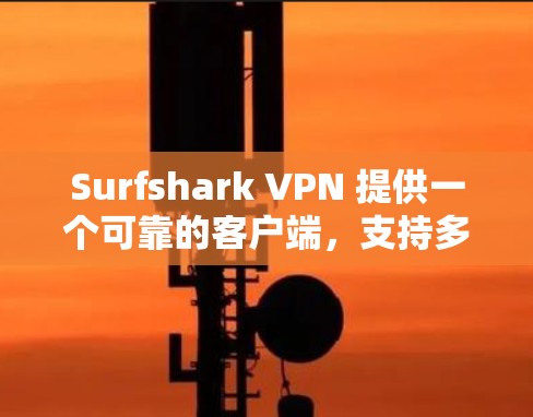 Surfshark VPN 提供一个可靠的客户端,支持多种平台,包括 Windows、macOS、iOS、Android 等。以下是关于 Surfshark VPN 客户端的一些关键信息