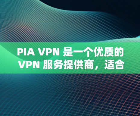 PIA VPN 是一个优质的 VPN 服务提供商，适合追求隐私和安全的用户。以下是对其的详细分析及总结