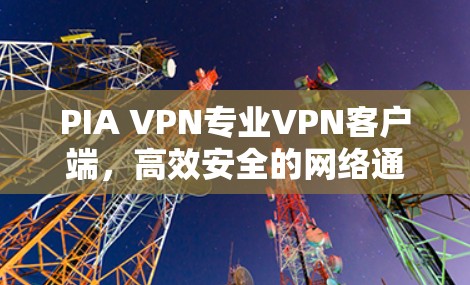 PIA VPN专业VPN客户端,高效安全的网络通信解决方案