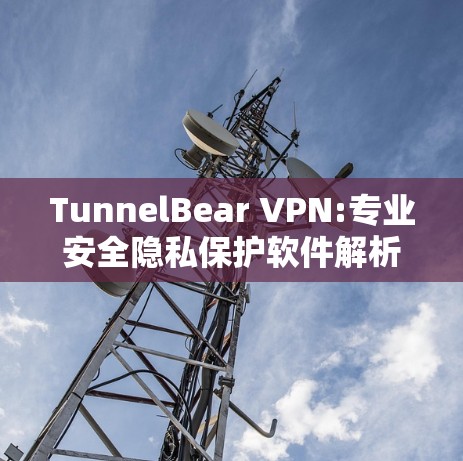 TunnelBear VPN:专业安全隐私保护软件解析