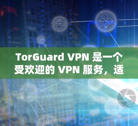 TorGuard VPN 是一个受欢迎的 VPN 服务，适合需要多平台支持和高隐私保护的用户。以下是对其推荐的详细分析