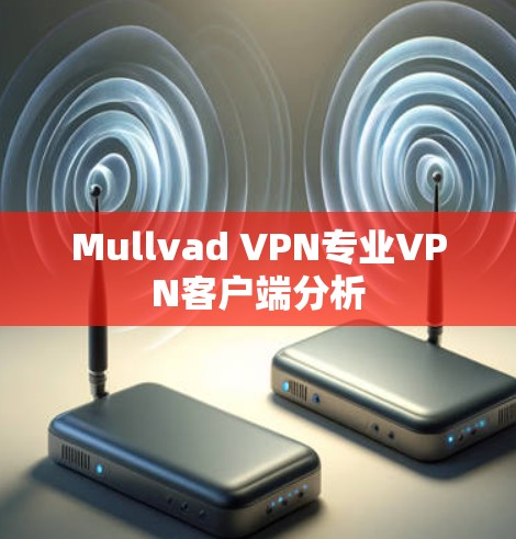 Mullvad VPN专业VPN客户端分析