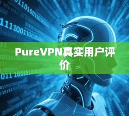 PureVPN真实用户评价