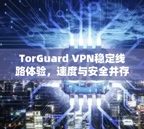 TorGuard VPN稳定线路体验，速度与安全并存的最佳选择