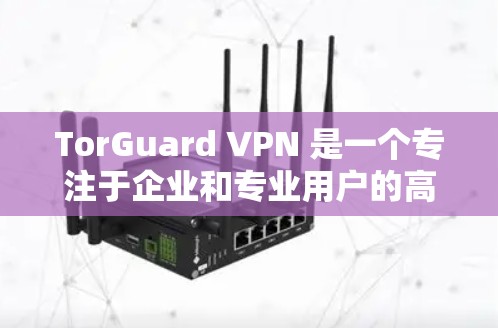 TorGuard VPN 是一个专注于企业和专业用户的高端 VPN 服务,提供安全、隐私保护和高性能的网络连接。其专业客户端功能强大,适合需要高级网络安全和管理的用户