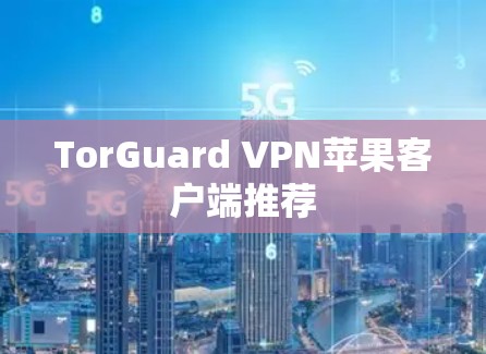 TorGuard VPN苹果客户端推荐