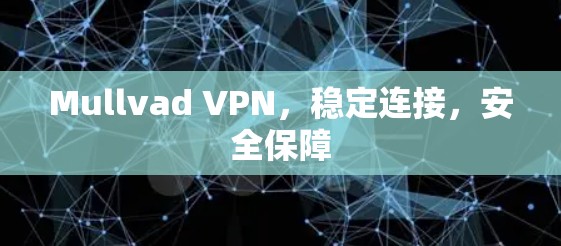 Mullvad VPN，稳定连接，安全保障