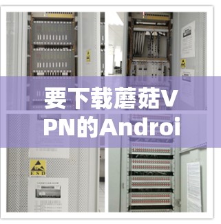 要下载蘑菇VPN的Android版,您可以按照以下步骤操作