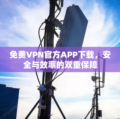 免费VPN官方APP下载，安全与效率的双重保障